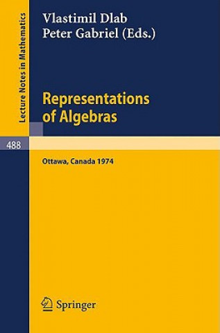 Könyv Representations of Algebras V. Dlab
