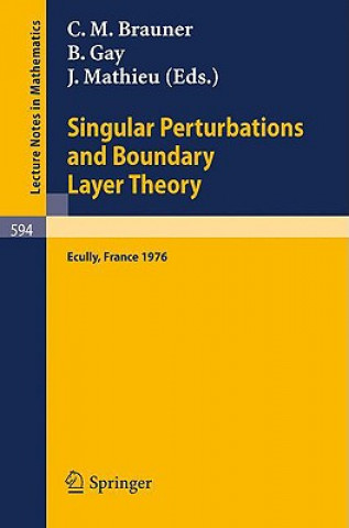 Kniha Singular Perturbations and Boundary Layer Theory C.M. Brauner