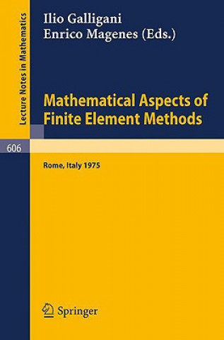 Kniha Mathematical Aspects of Finite Element Methods I. Galligani