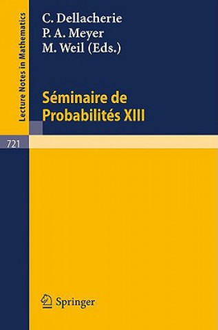 Książka Séminaire de Probabilités XIII C. Dellacherie