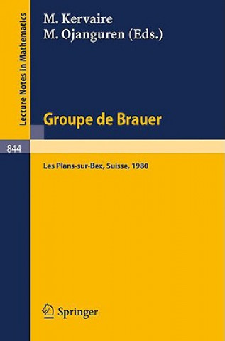 Kniha Groupe de Brauer M. Kervaire