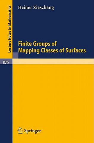Könyv Finite Groups of Mapping Classes of Surfaces H. Zieschang