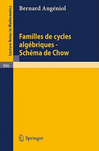 Könyv Familles de Cycles Algebriques - Schema de Chow Bernard Angeniol