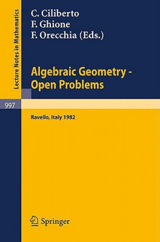 Kniha Algebraic Geometry - Open Problems C. Ciliberto