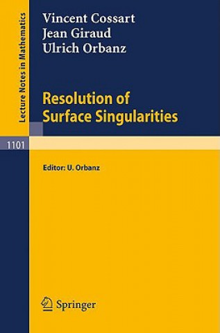 Kniha Resolution of Surface Singularities Vincent Cossart