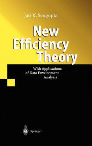 Könyv New Efficiency Theory Jati K. Sengupta