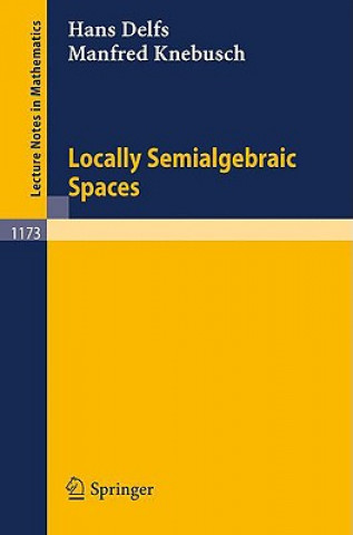 Książka Locally Semialgebraic Spaces Hans Delfs