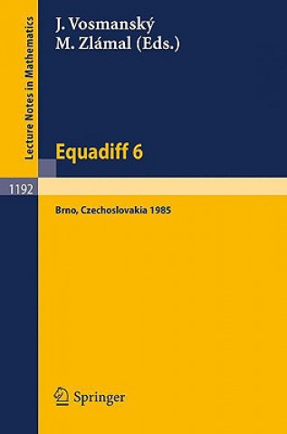 Kniha Equadiff 6 Jaromir Vosmansky