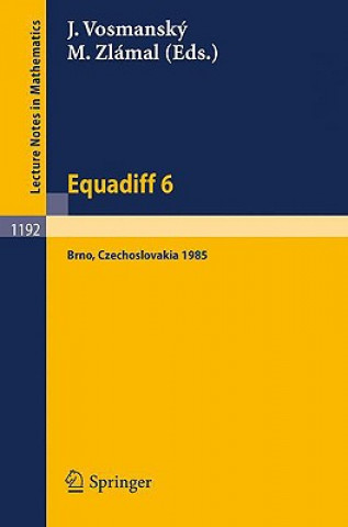 Knjiga Equadiff 6 Jaromir Vosmansky