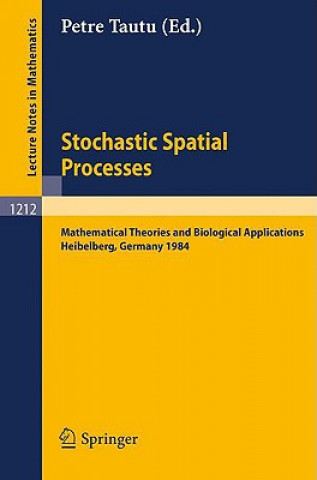 Libro Stochastic Spatial Processes Petre Tautu