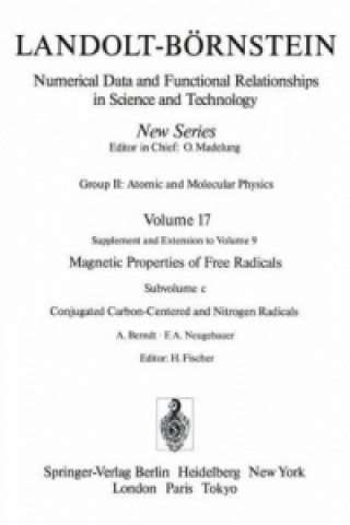 Kniha Conjugated Carbon-Centered and Nitrogen Radicals / Konjugierte Kohlenstoff- und Stickstoff-Radikale A. Berndt