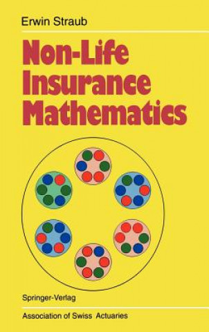 Kniha Non-Life Insurance Mathematics Erwin Straub