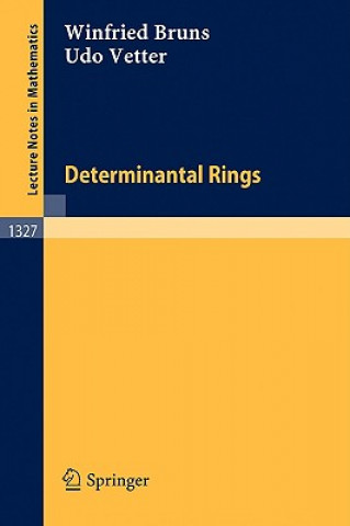 Kniha Determinantal Rings Winfried Bruns