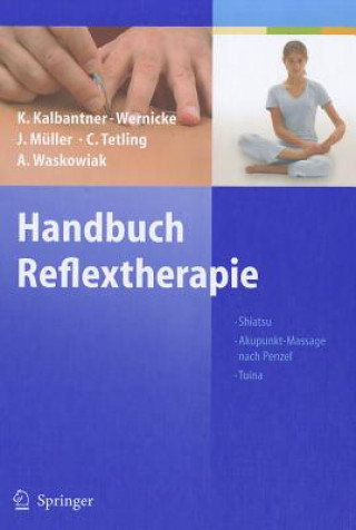 Kniha Handbuch Reflextherapie Karin Kalbantner-Wernicke