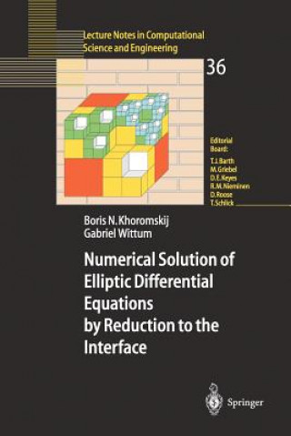 Buch Numerical Solution of Elliptic Differential Equations by Reduction to the Interface Boris  N. Khoromskij