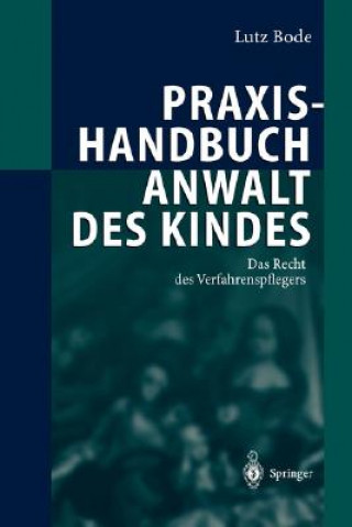 Carte Praxishandbuch Anwalt Des Kindes Lutz Bode