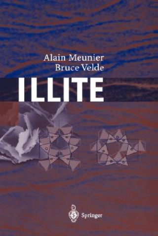 Libro Illite Alain Meunier