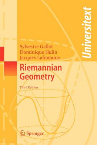 Kniha Riemannian Geometry Sylvestre Gallot