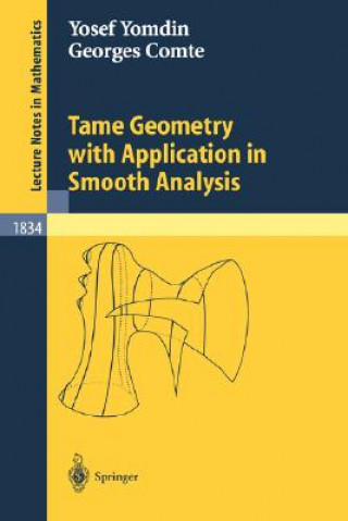Kniha Tame Geometry with Application in Smooth Analysis Y. Yomdin