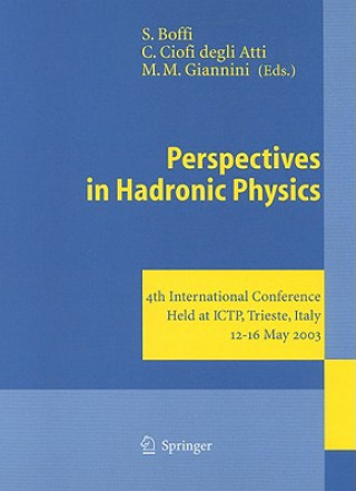 Kniha Perspectives in Hadronic Physics Sigfrido Boffi