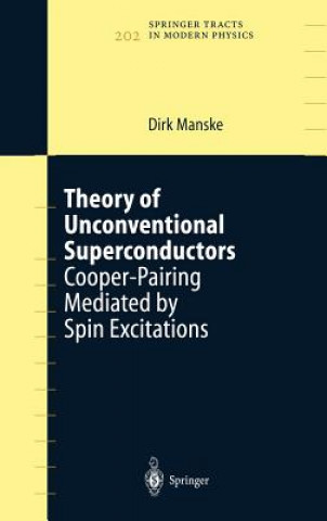 Könyv Theory of Unconventional Superconductors D. Manske