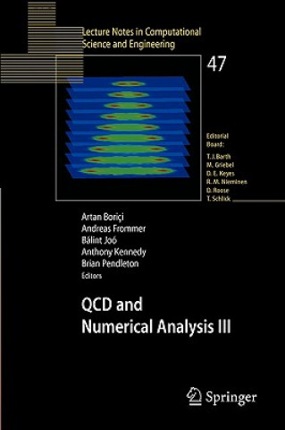 Livre QCD and Numerical Analysis III A. Borici