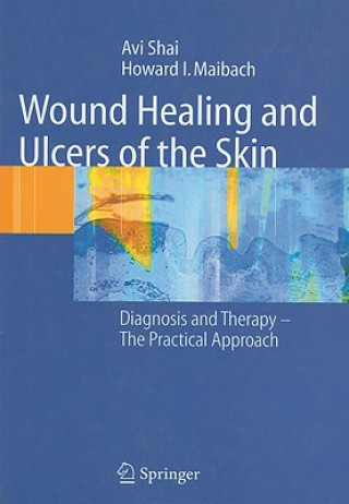 Könyv Wound Healing and Ulcers of the Skin A. Shai