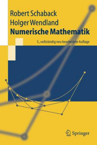 Knjiga Numerische Mathematik Robert Schaback