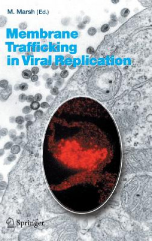 Książka Membrane Trafficking in Viral Replication M. Marsh