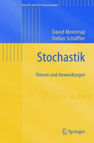 Kniha Stochastik David Meintrup