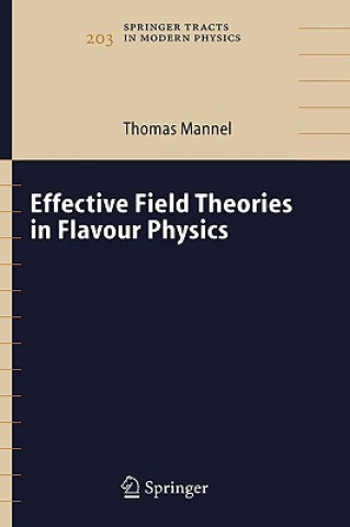 Könyv Effective Field Theories in Flavour Physics T. Mannel