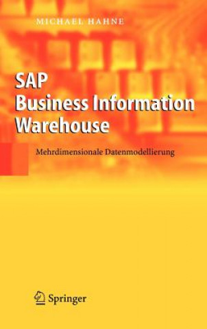 Carte SAP Business Information Warehouse Michael Hahne