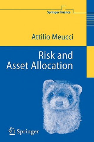 Buch Risk and Asset Allocation Attilio Meucci