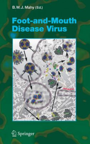 Kniha Foot-and-Mouth Disease Virus Brian W. J. Mahy