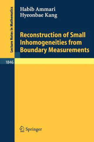 Kniha Reconstruction of Small Inhomogeneities from Boundary Measurements H. Ammari