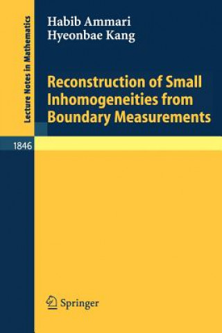 Książka Reconstruction of Small Inhomogeneities from Boundary Measurements H. Ammari