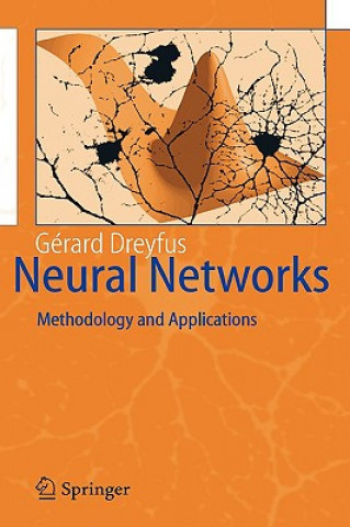 Książka Neural Networks Gérard Dreyfus