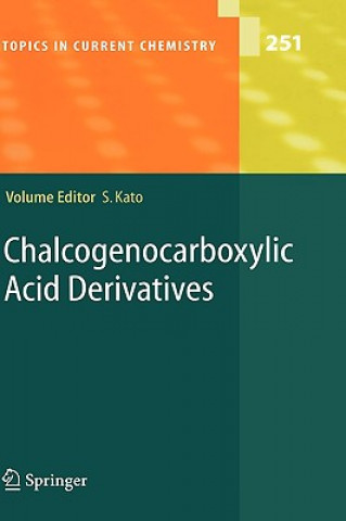 Книга Chalcogenocarboxylic Acid Derivatives Shinzi Kato