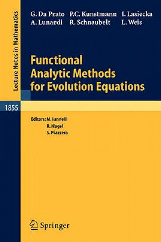 Buch Functional Analytic Methods for Evolution Equations Mimmo Iannelli