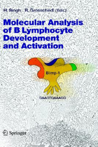 Książka Molecular Analysis of B Lymphocyte Development and Activation H. Singh