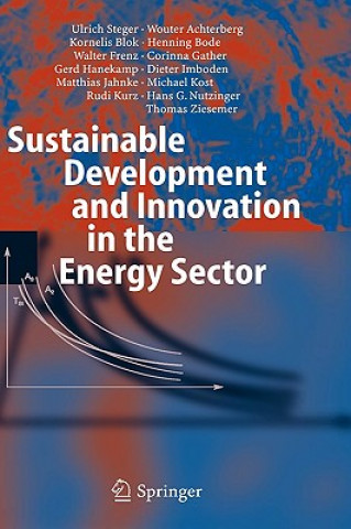 Libro Sustainable Development and Innovation in the Energy Sector Ulrich Steger