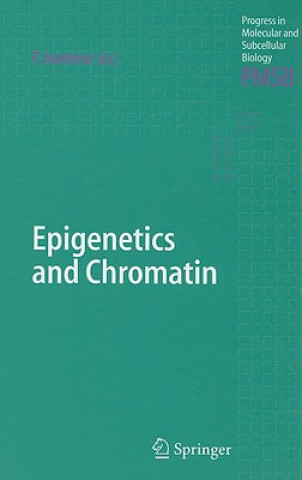 Könyv Epigenetics and Chromatin Philippe Jeanteur