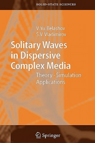 Könyv Solitary Waves in Dispersive Complex Media V. Y. Belashov