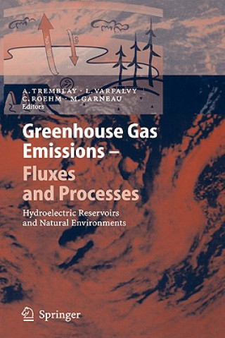 Kniha Greenhouse Gas Emissions - Fluxes and Processes A. Tremblay