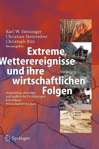 Kniha Extreme Wetterereignisse Und Ihre Wirtschaftlichen Folgen K. W. Steininger