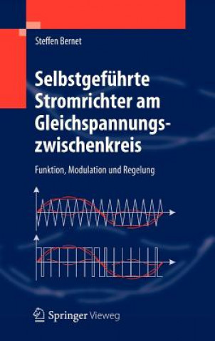 Könyv Leistungselektronik Praxis Steffen Bernet