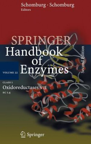 Kniha Class 1 Oxidoreductases VII Dietmar Schomburg
