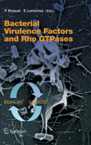 Knjiga Bacterial Virulence Factors and Rho GTPases P. Bouquet