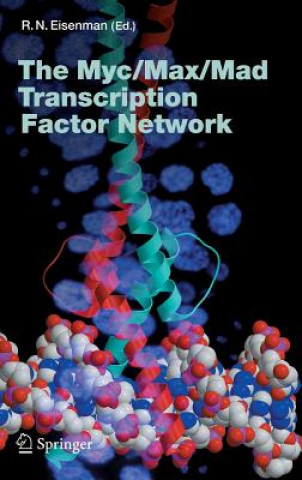 Książka Myc/Max/Mad Transcription Factor Network Robert Eisenman