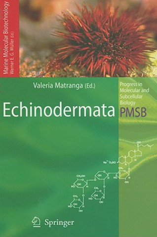 Livre Echinodermata Werner E. G. Müller